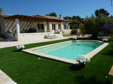 Pisicne de la villa